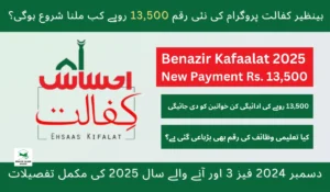 Benazir Kafalat program check on