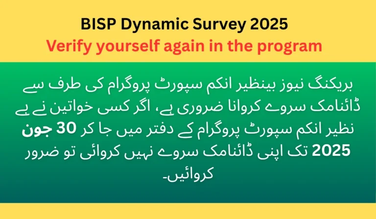 Benazir Taleemi Wazaif Apply Online Registration 4 Easy Steps 4 Benazir Income Support Program: Dynamic Survey for 2025
